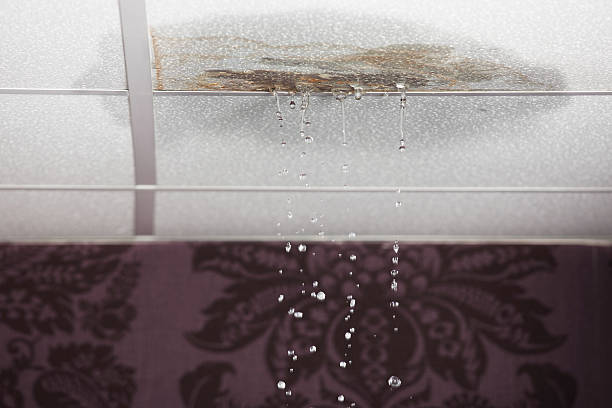 Burst Pipes Water Damage: How to Prevent, Recover, and Protect Your Home